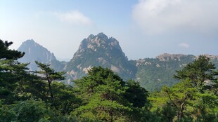 青山绿树间的秀丽山峰