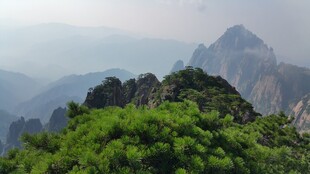 青山巍峨 绿意盎然