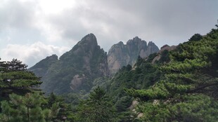 壮丽山峦间的葱郁美景