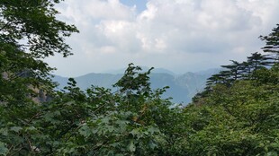 山林间的绿意与远处山峦