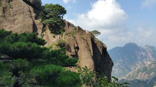 峻峭山峰上的翠绿松树