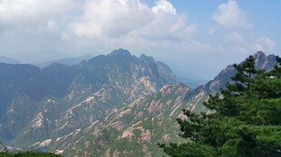 壮丽山景 绿意盎然