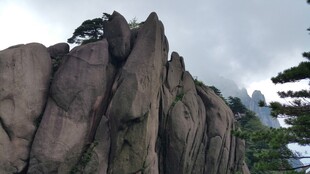 巍峨山石间挺立的青松