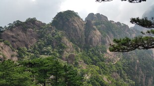 壮丽山峦间的翠绿景致