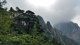 云雾缭绕的壮美山峰