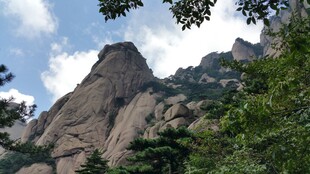 巍峨山峰与葱郁林木景观