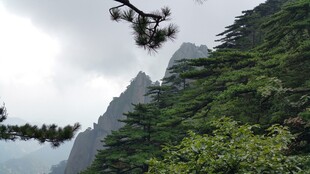 巍峨青山间的葱郁景致