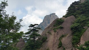 巍峨山峰与葱郁树木景观