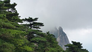 云雾缭绕中的葱郁山峰