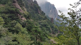 山间绿意盎然的秀丽景致