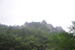 山峦叠翠间的绿意景致