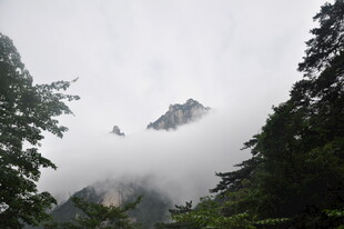 云雾缭绕的山间美景