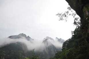 云雾缭绕的壮美山峦