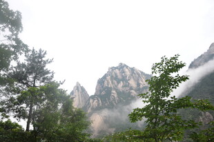 云雾缭绕的壮丽山峰景色