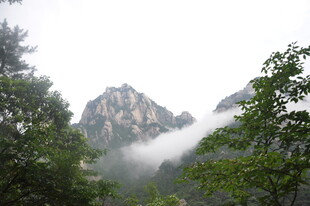 云雾缭绕的山间美景