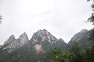 巍峨山峦间的绿意景致
