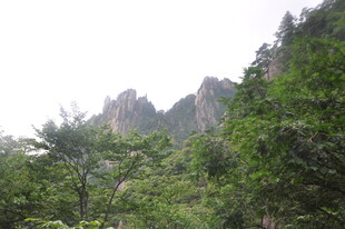 山林间的秀丽奇峰景色