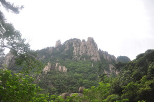 秀丽山峦被葱郁植被环绕