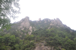 巍峨青山绿意浓