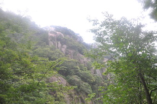 山林葱郁间的朦胧山峰