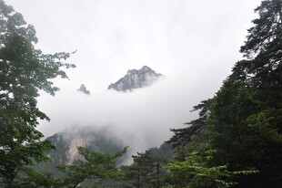 云雾缭绕山间景色