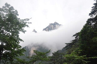 云雾缭绕中的山林与山峰