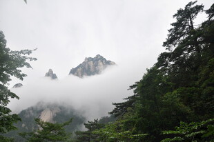 云雾缭绕中的山林山峰