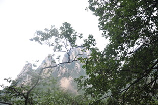 山林间隐约可见的山峰