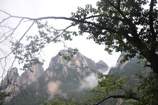 山间树影与奇峰美景