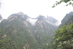 巍峨青山间绿意盎然