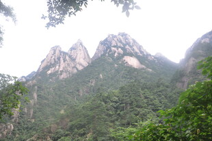 秀丽山峦与葱郁植被景观