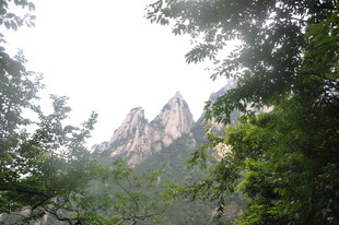 山林间的秀丽奇峰