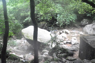 山林间的巨石与繁茂植被