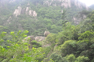 山间绿意盎然的秀丽景致