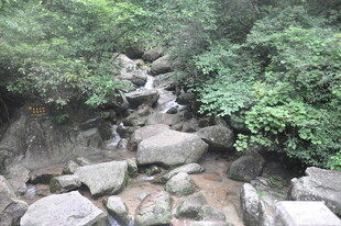 山间溪流穿石而过