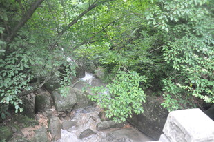 山林间的清幽石径