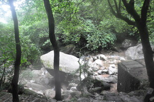 林间光影下的自然岩石景观