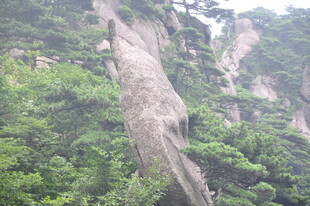 陡峭山壁与葱郁植被