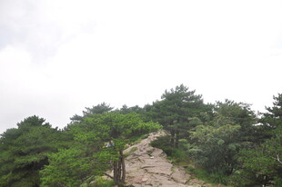 山间蜿蜒小路 绿树环绕