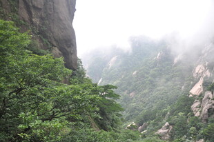 云雾缭绕的山间绿意景观