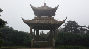 中式古亭立于葱郁林间