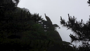 巍峨山峰与葱郁树木