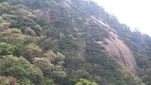 陡峭山峦覆盖茂密植被