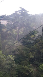 山林间的朦胧景致