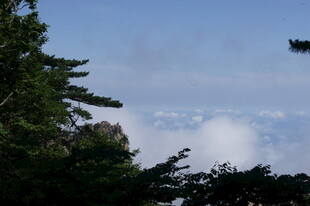 山间云雾缭绕的自然景致