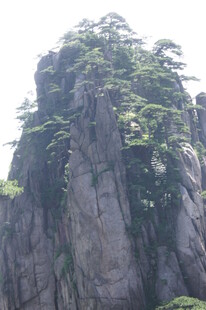 巍峨山峰上的葱郁植被