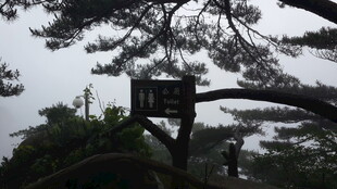 山林中的木质指示牌