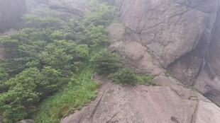 山间葱郁植被覆盖的岩石