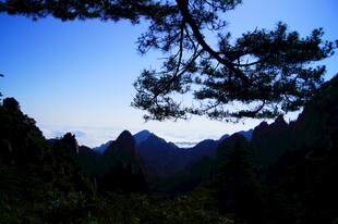 山间松景 日暮秀丽风光