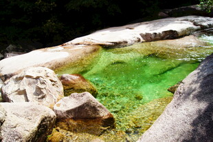 翠绿清澈山间小池